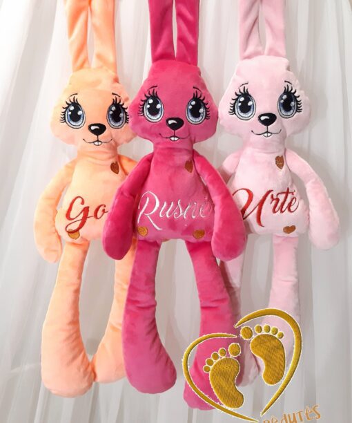 ZUIKIS PUIKIS SU IŠSIUVINĖTU VARDU IR METRIKAIS