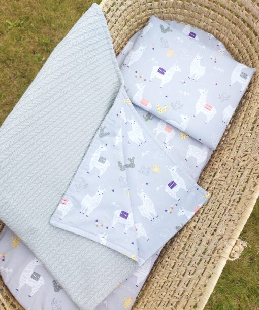 VASARINIS RINKINYS Į VEŽIMĖLĮ LAMOS